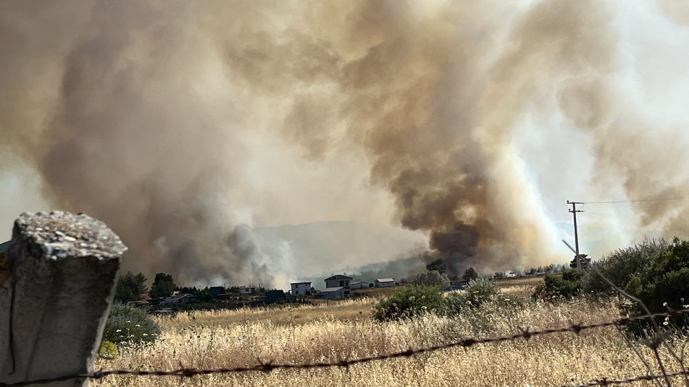 Bornova’daki orman yangını soruşturmasında 2 tutuklama