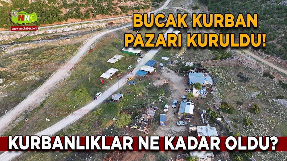 Bucak kurban pazarı 2025 Kurbanlık fiyatları ne kadar?