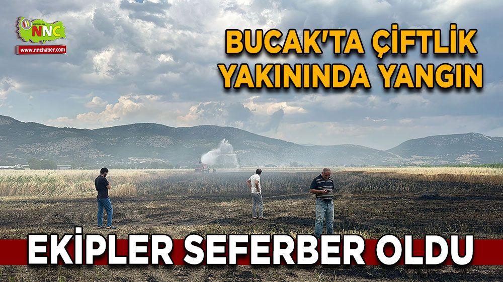 Bucak'ta çiftlik yakınında yangın Ekipler seferber oldu