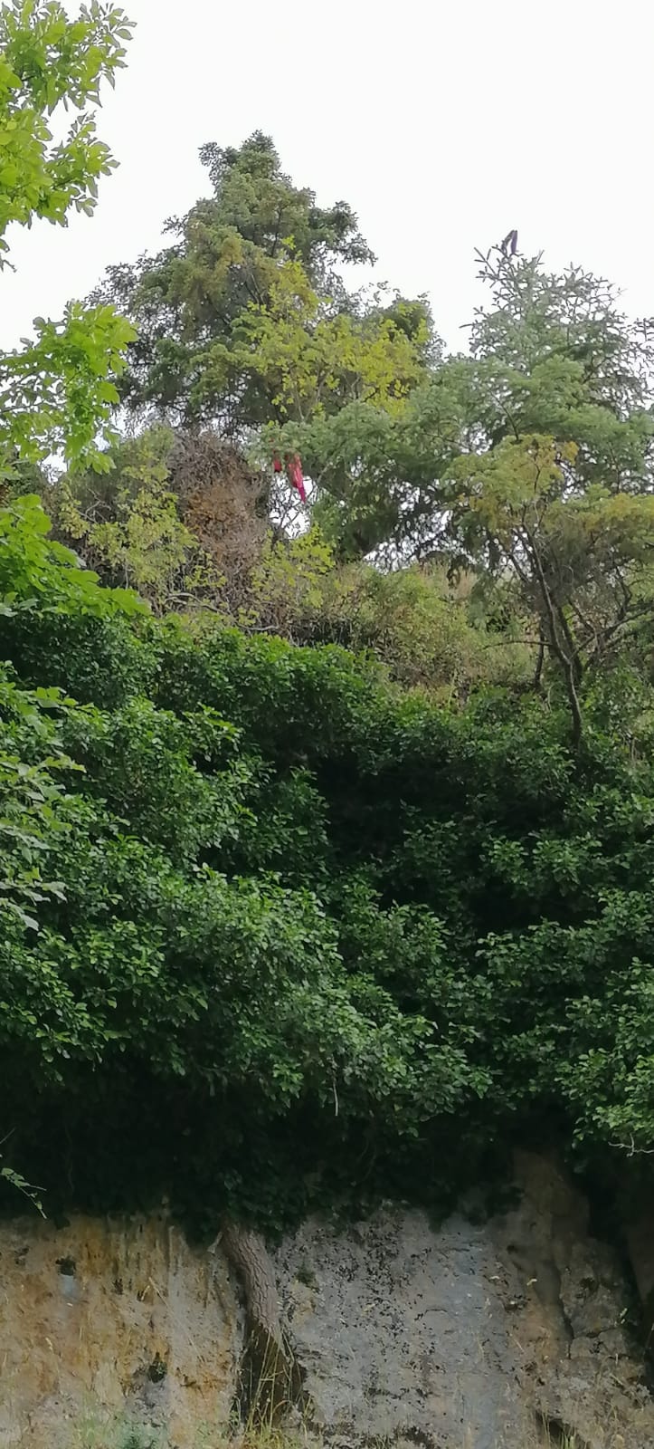 Bucak’ta kayalıklardan düşen kadından acı haber