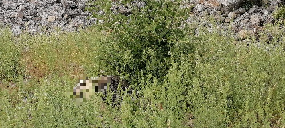 Bucak’ta kayalıklardan düşen kadından acı haber