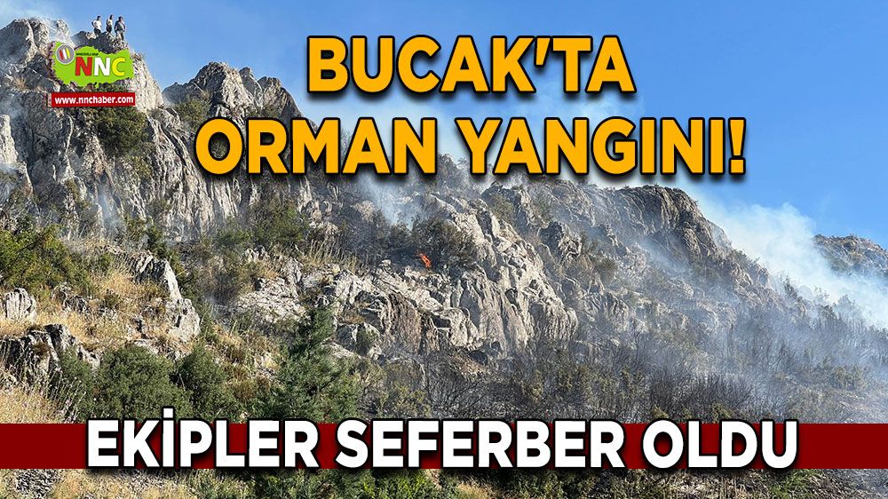 Bucak'ta orman yangını! Ekipler sevk edildi