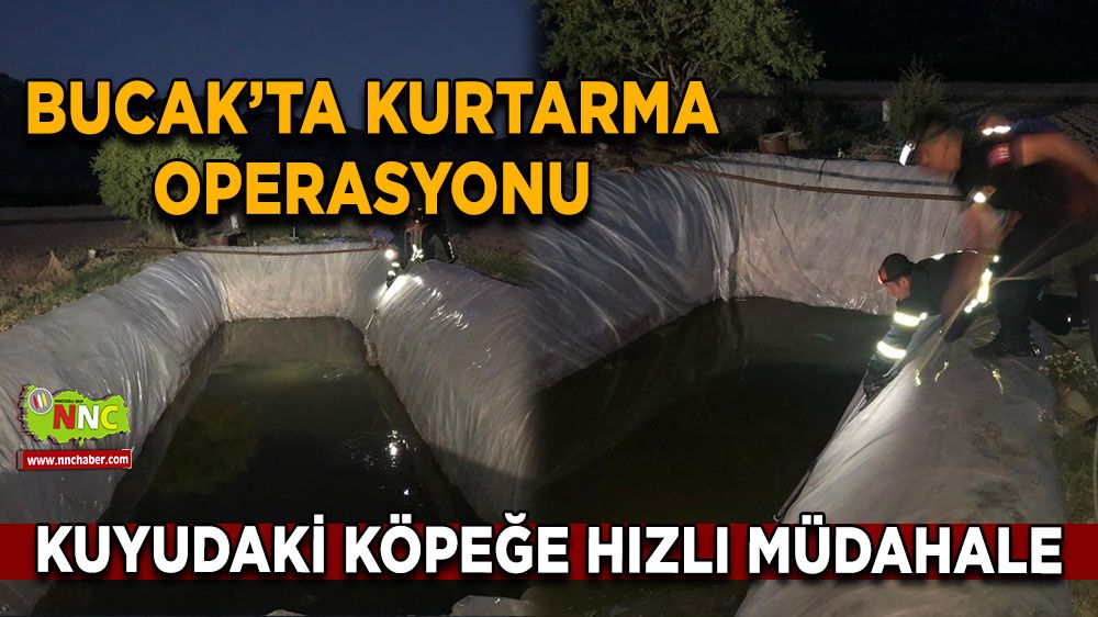 Bucak'ta su kuyusuna düşen sokak köpeği itfaiye ekiplerince kurtarıldı