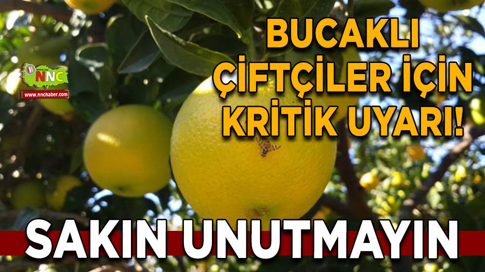 Bucaklı çiftçiler için kritik uyarı! 7-10 günde bir yapılması gerekiyor