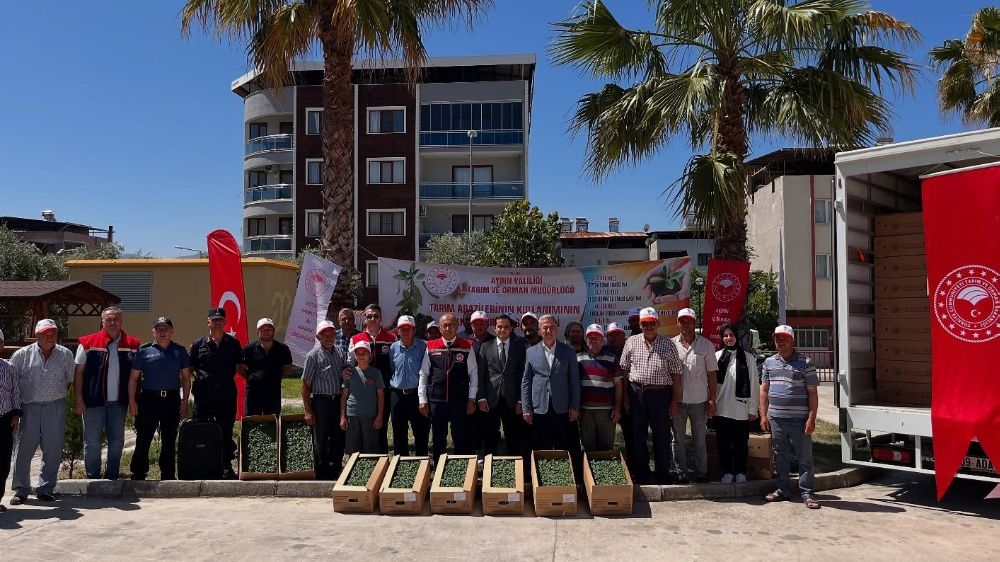 Buharkent’te domates fideleri üreticilere teslim edildi