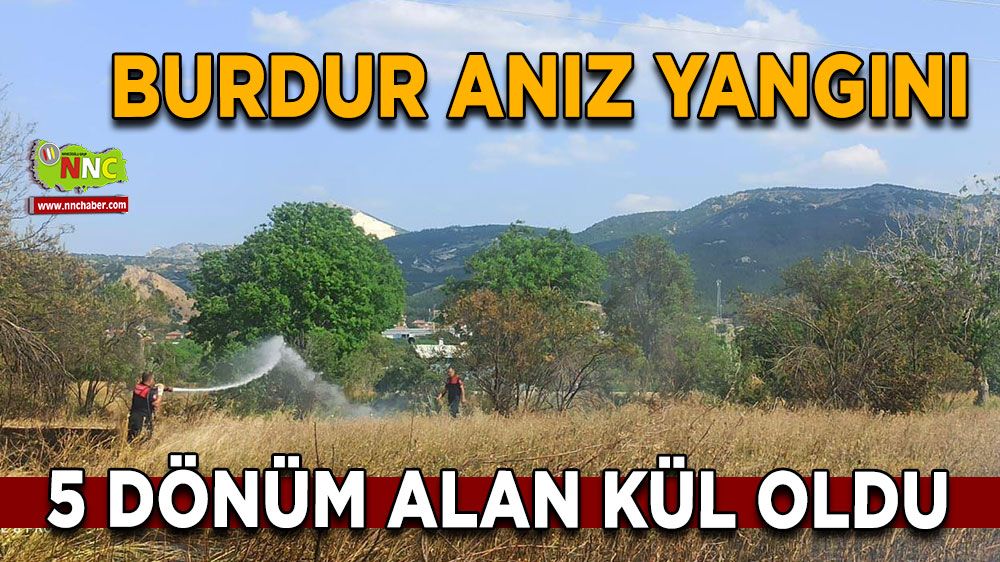 Burdur anız yangını 5 dönüm alan kül oldu