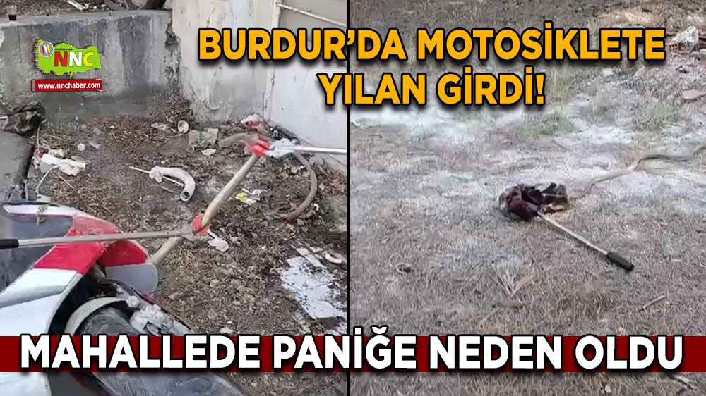 Burdur’da motosiklete yılan girdi!