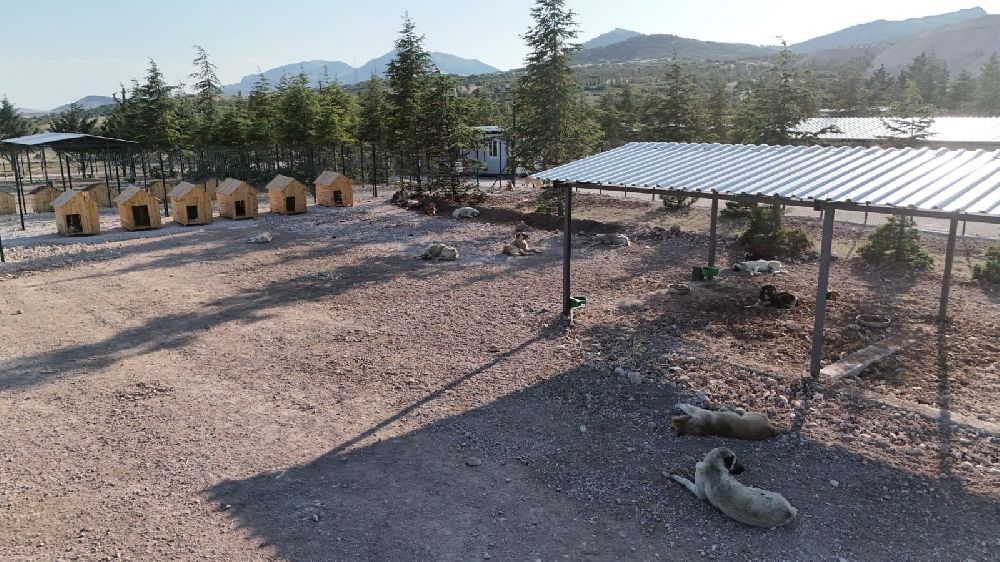 Burdur'da sahipsiz hayvanlar için modern rehabilitasyon ve doğal yaşam tesisi açıldı