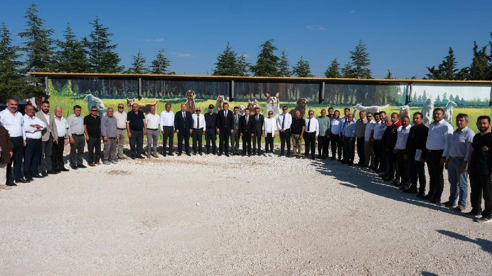 Burdur'da sahipsiz hayvanlar için modern rehabilitasyon ve doğal yaşam tesisi açıldı