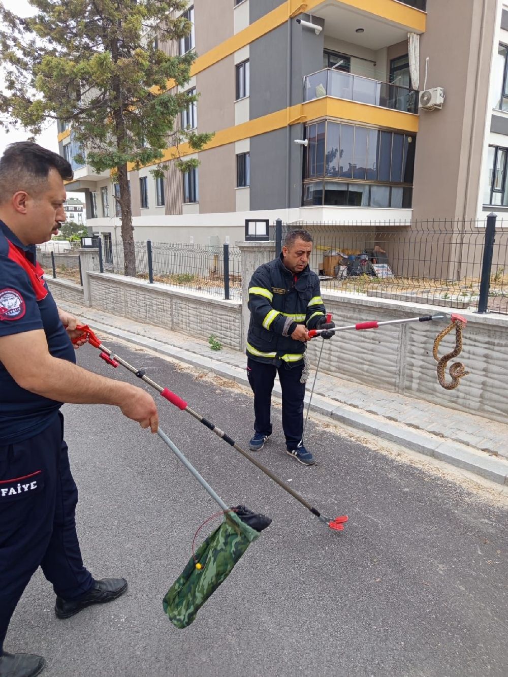 Burdur’da sokakta yılan paniği! İtfaiye ekipleri harekete geçti