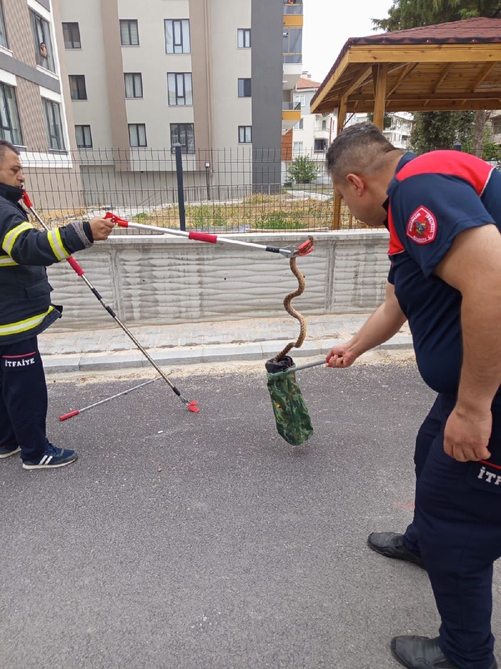Burdur’da sokakta yılan paniği! İtfaiye ekipleri harekete geçti