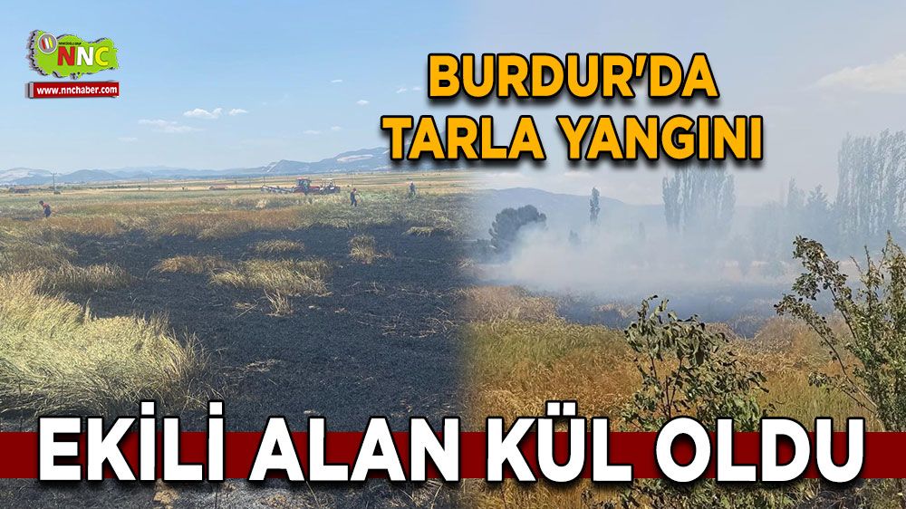 Burdur'da tarla yangını Ekili alan kül oldu