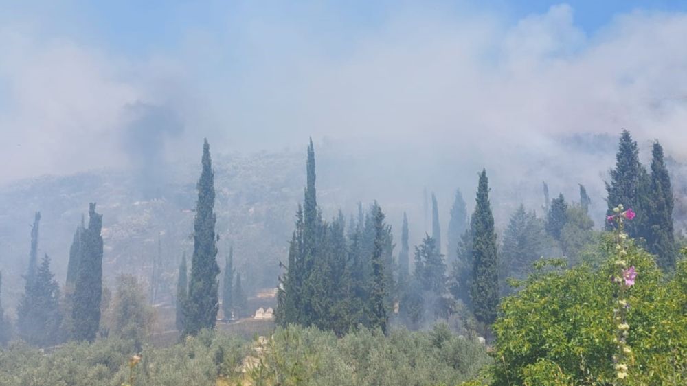 Bursa'da çam ormanı yanıyor
