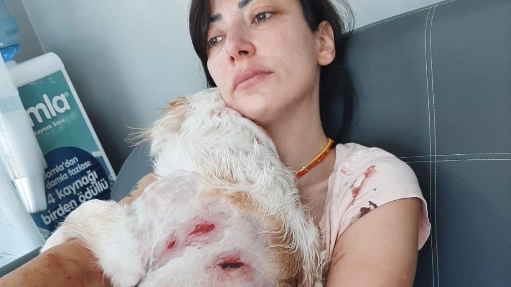 Bursa'da kangal dehşeti...O anlar kamerada