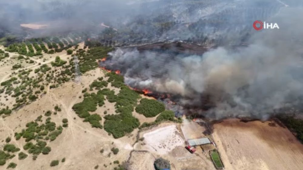 Ezine'de yanan ormanlık alan böyle görüntülendi