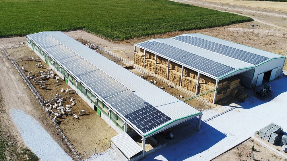 Denizli tarımına 87.4 milyonluk destek