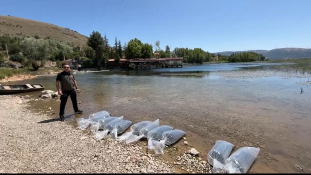 Dinar’da baraj ve göletlere 205 bin yavru balık salındı