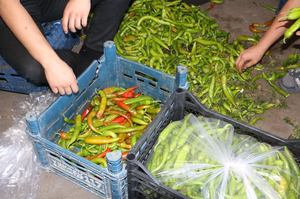 Diyarbakır'da sıcak hava sebze ve meyveleri etkiledi