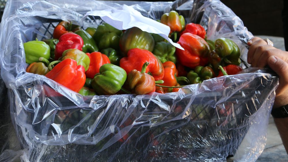 Diyarbakır'da sıcak hava sebze ve meyveleri etkiledi