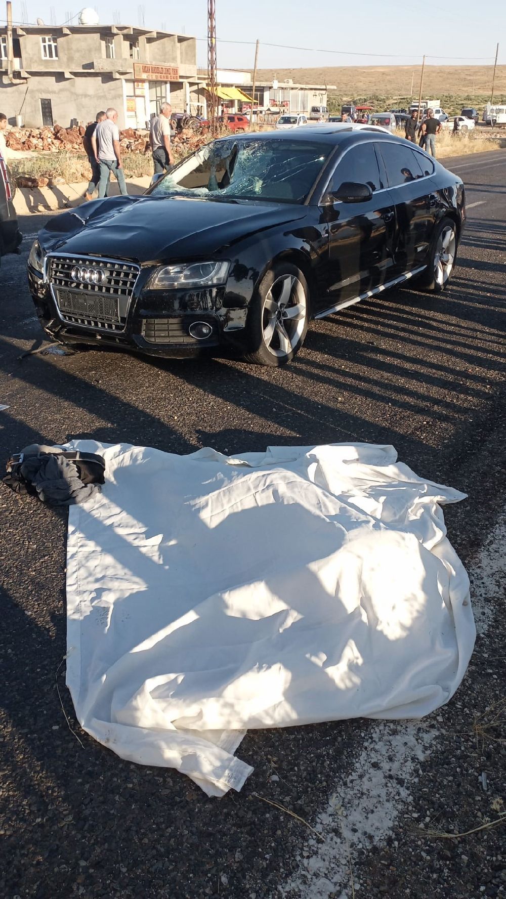 Diyarbakır'da yolun karşısına geçemeye çalışan çifte otomobil çarptı 1 ölü, 1 yaralı