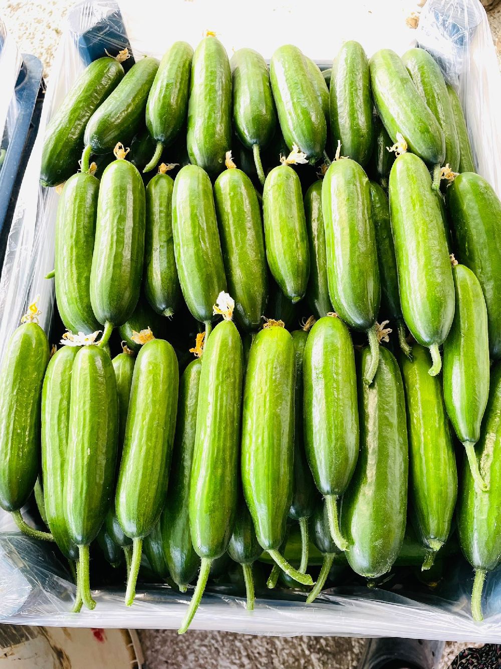 Domatessiz Et Olmaz! Bayram önü Burdur ve Bucak Pazarı'nda