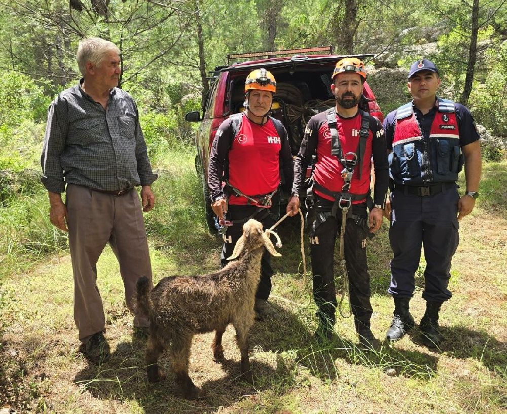 Düştüğü mağarada 3 gün mahsur kalan keçiyi kurtarma ekipleri çıkardı