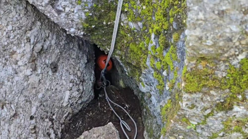 Düştüğü mağarada 3 gün mahsur kalan keçiyi kurtarma ekipleri çıkardı