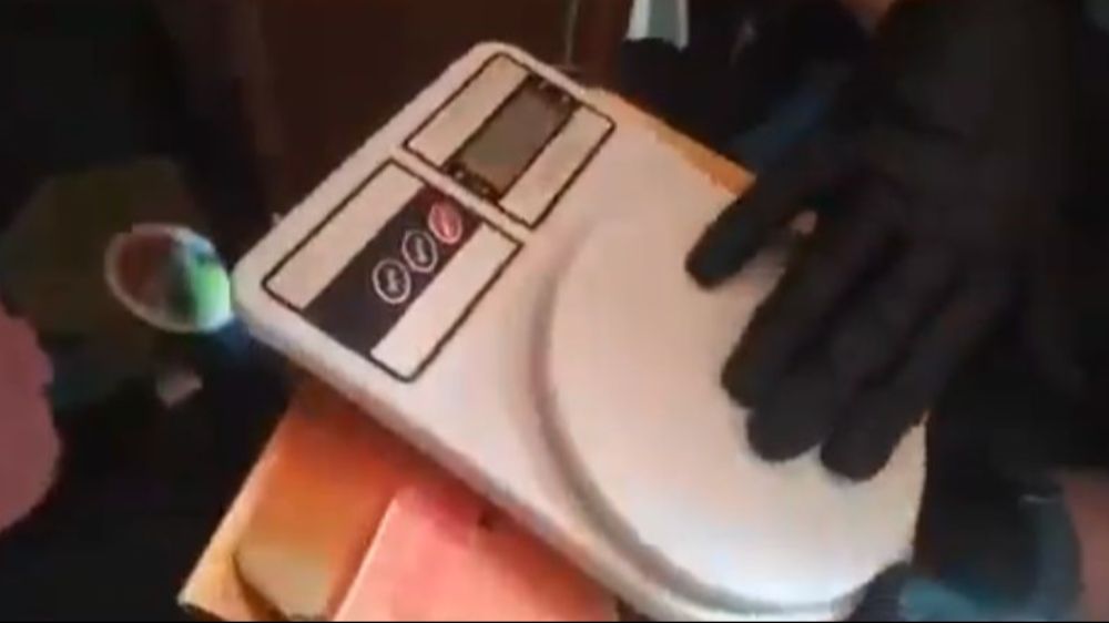  Evinin bahçesinde 290 kök kenevir yetiştiren tacir tutuklandı