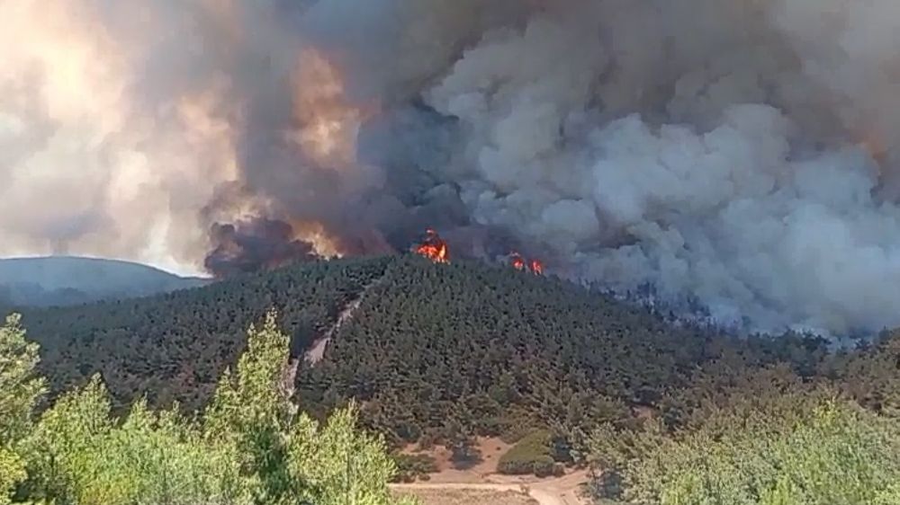Foça'da orman yangınına havadan 11 uçakla müdahale