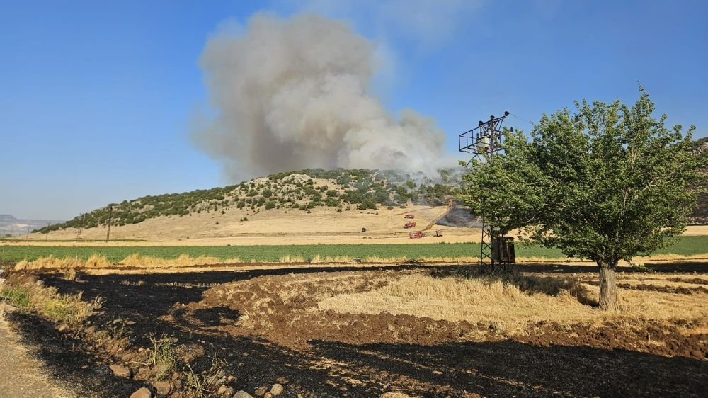 Gaziantep'te anız yakarken suçüstü yakalanan şahsa 47 bin TL ceza