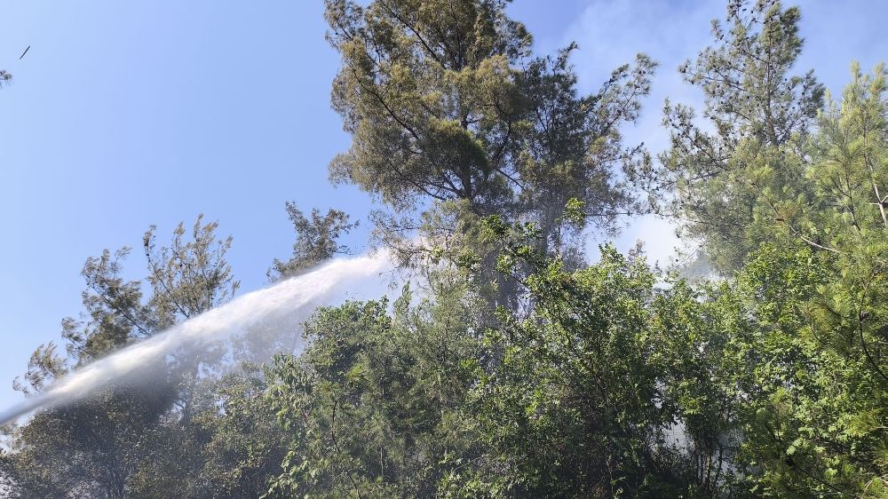 Hatay’da orman yangını