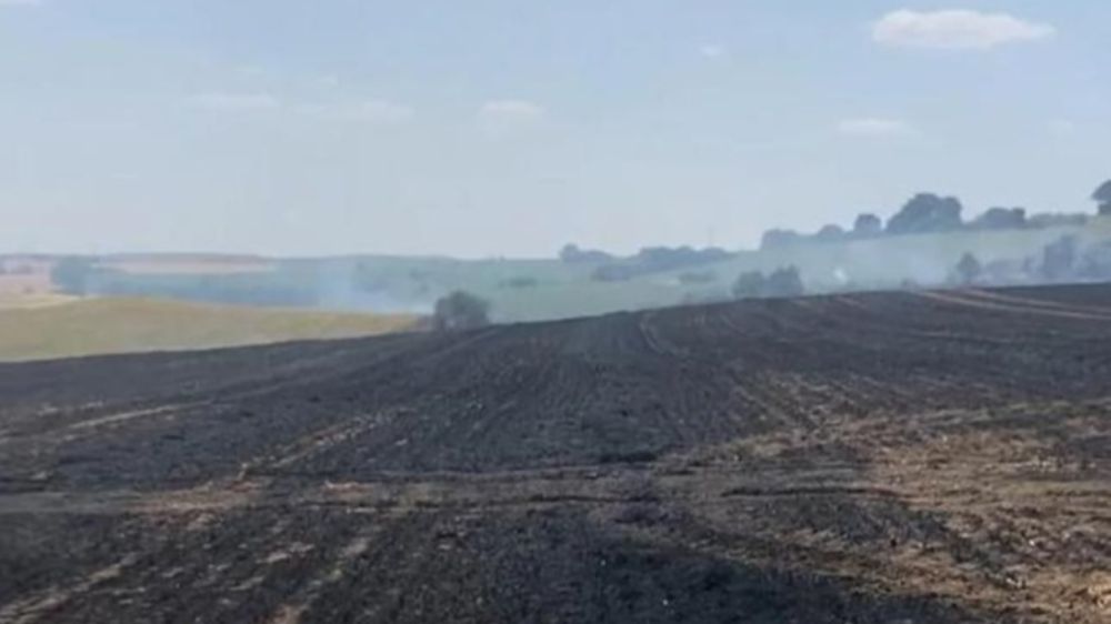 Hayrabolu'da 15 dönüm buğday tarlası yandı