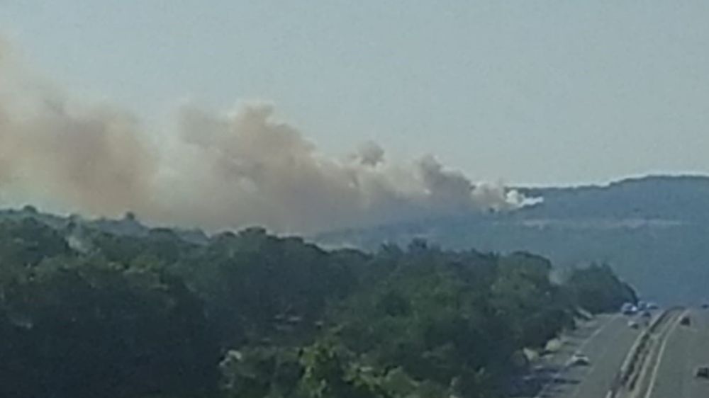 İvrindi'de orman yangını