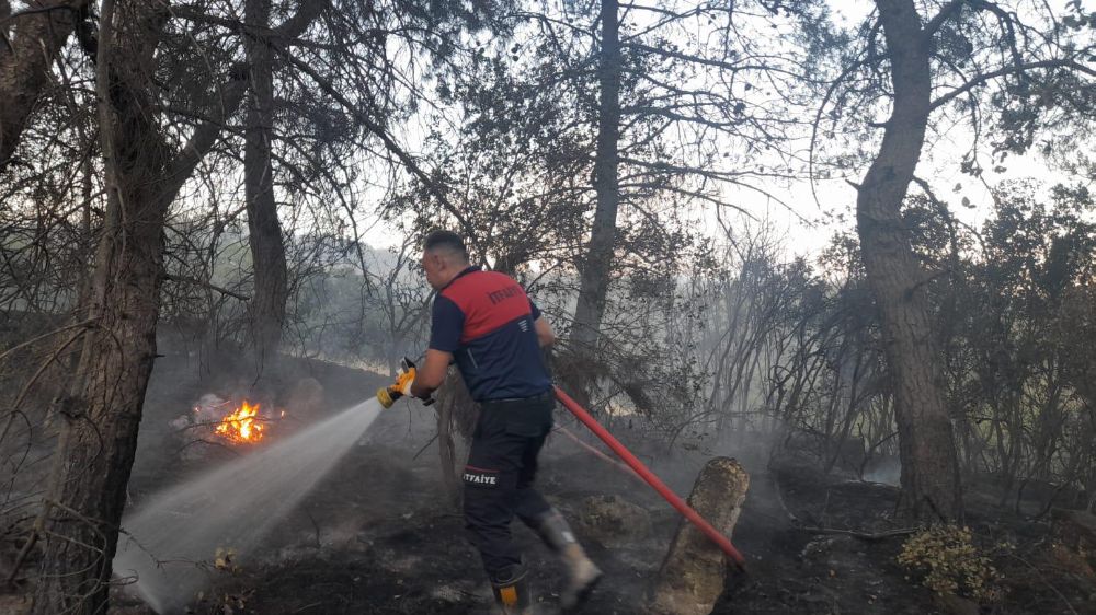 İzmir Aliağa-Foça Arasındaki Orman Yangını Kontrol Altına Alındı Burdur Belediyesi de Müdahale Etti