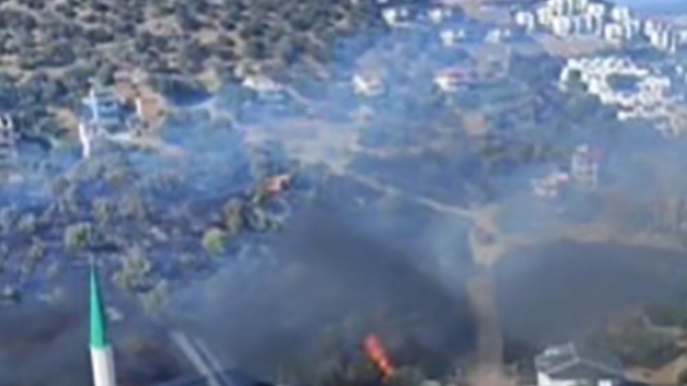  İzmir'de bir yangın da Dikili'de