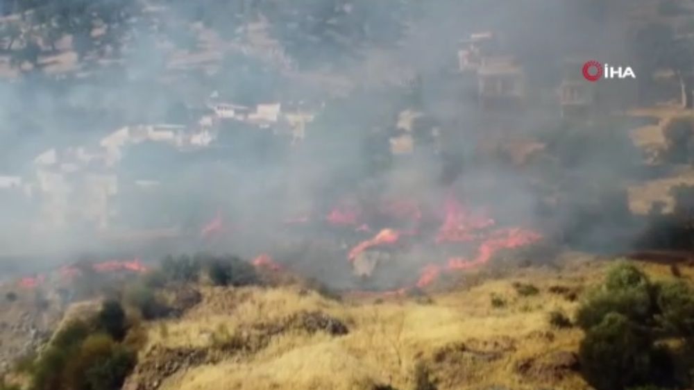 İzmir'de Dikili'de orman yangını
