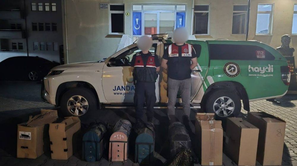  Jandarmadan horoz dövüşüne baskın