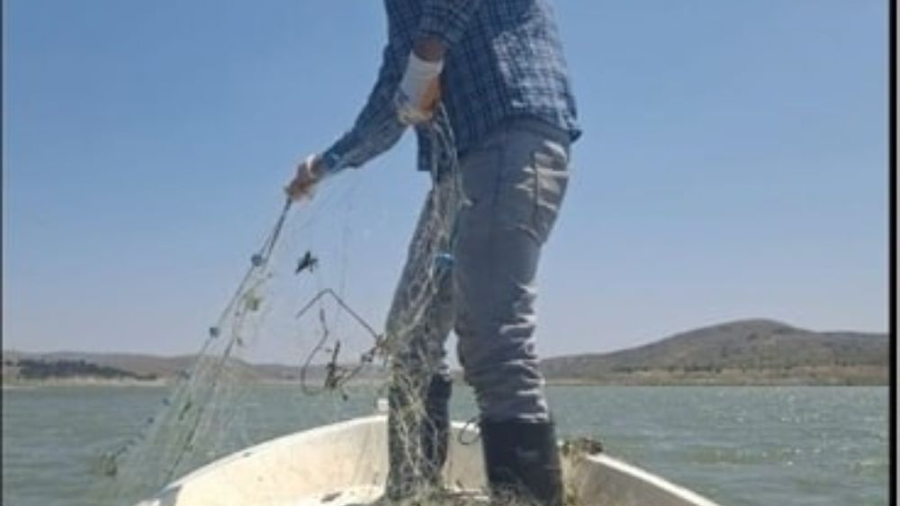 Kaçak avcıların ağı denetimde ortaya çıktı