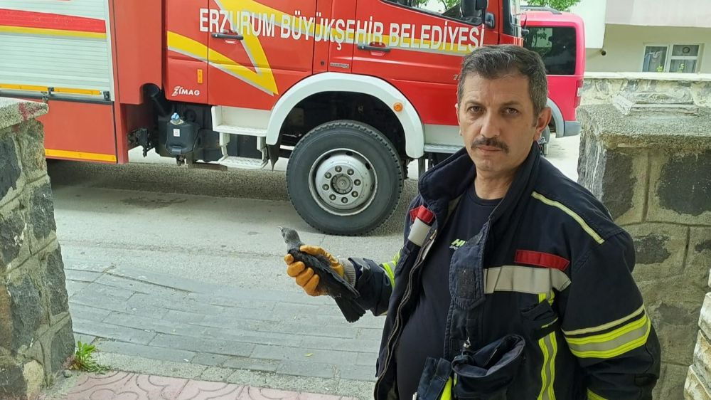 Karga yavrusuna uzanan şefkat eli