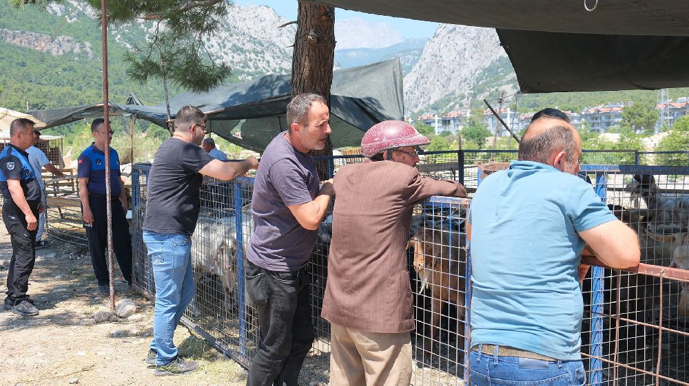 Kemer Belediyesi'nde kurban satış alanlarında denetim