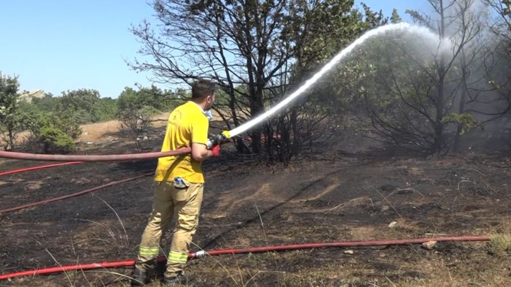 Kırklareli'nde ceviz bahçesi ve orman alanında yangın