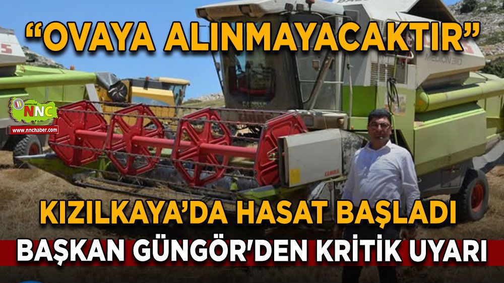 Kızılkaya’da hasat başladı Başkan Güngör'den kritik uyarı