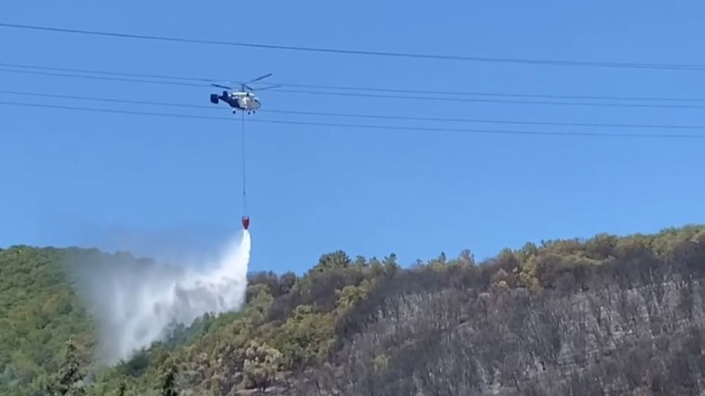 Kocaeli'de ağaçlık alanda çıkan yangın kontrol altına alındı