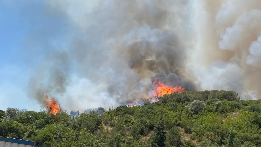 Kocaeli'de ağaçlık alanda çıkan yangına müdahale ediliyor