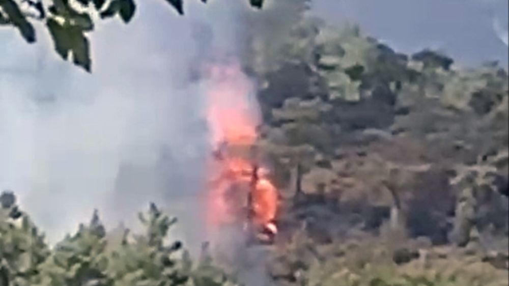 Köyceğiz’de orman yangını başladı