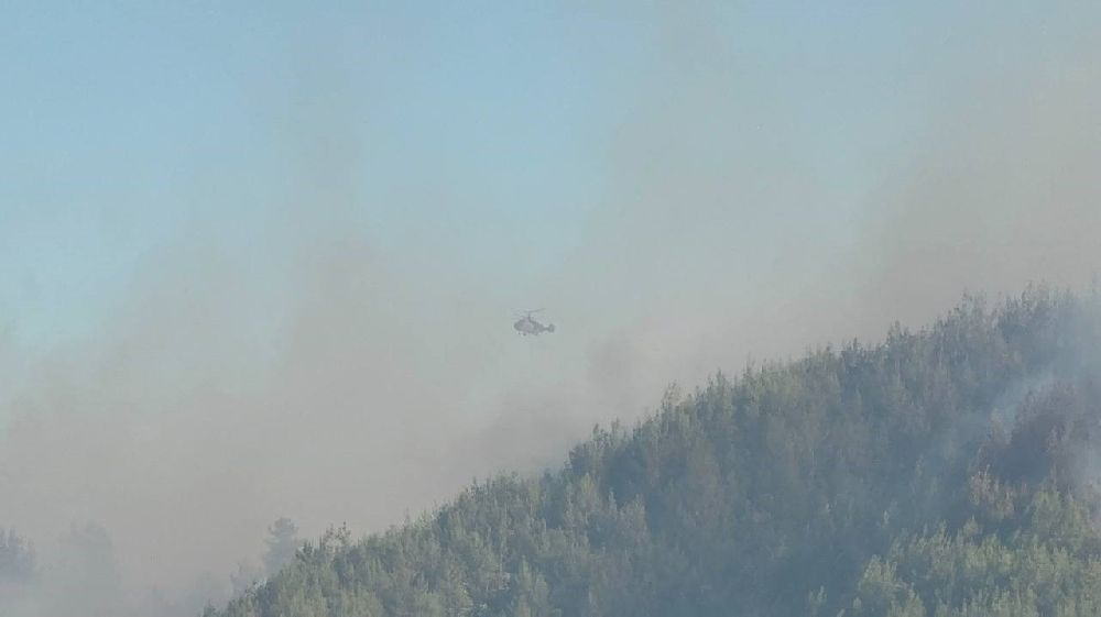 Kozan'daki orman yangınında çiftçiler, hayvanlarını korumak için mücadele etti