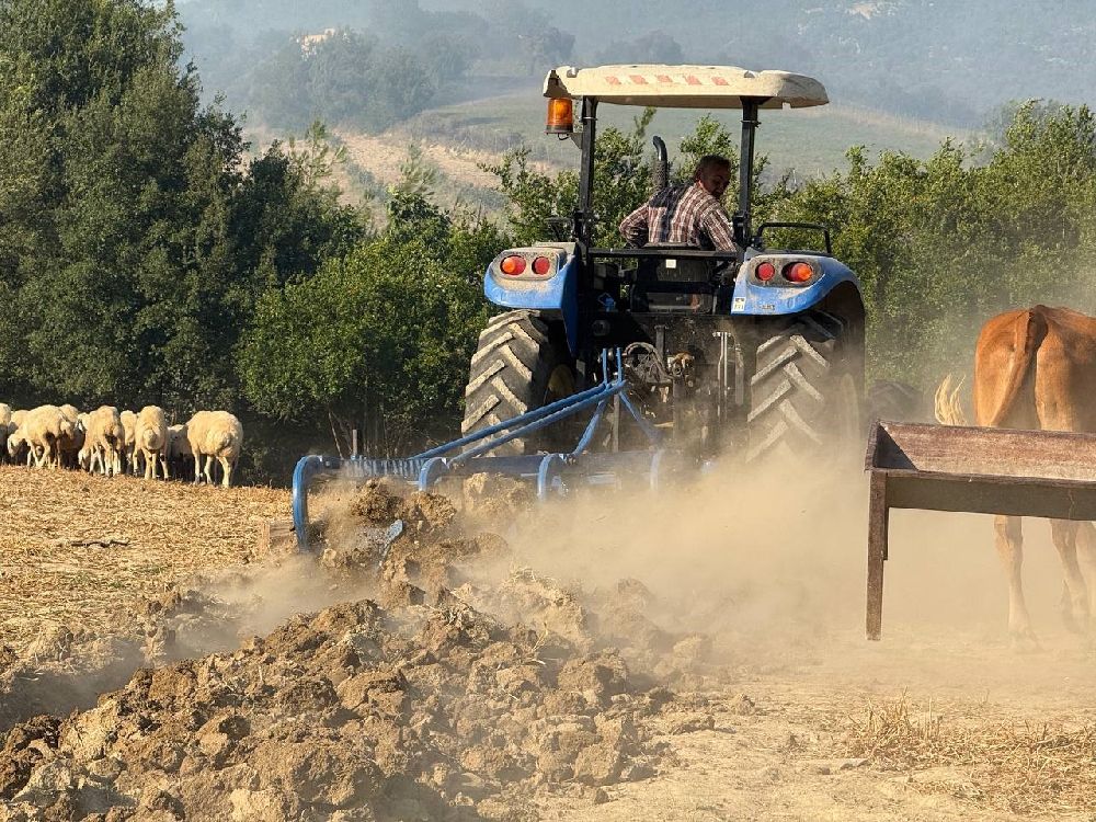 Kozan'daki orman yangınında çiftçiler, hayvanlarını korumak için mücadele etti