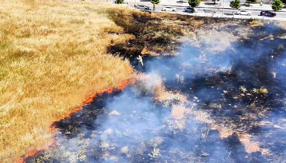 Küçükçekmece'de geniş otluk alanda çıkan yangın paniğe neden oldu