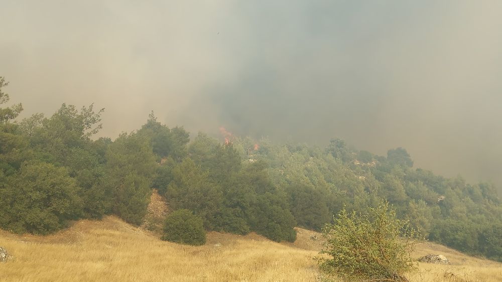 Kula’daki orman yangını için ekipler ve vatandaşlar seferber oldu