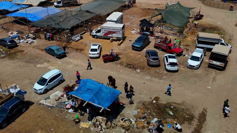Kurbanın 2 gününde Kurbanlık fiyatları yüzde 40 düştü